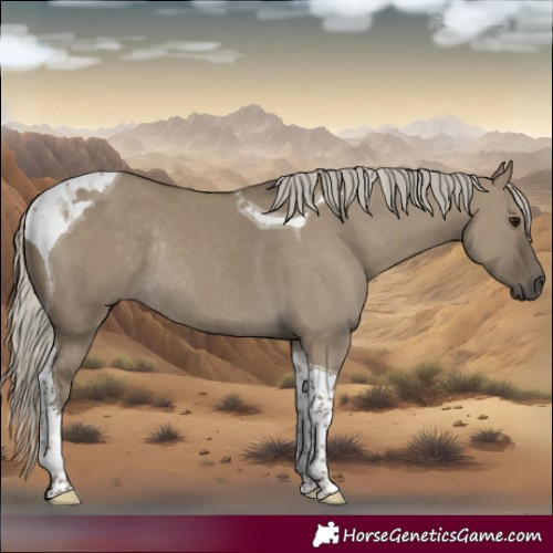 Horse Color:Silver Pseudo Smoky Grullo Dun Tobiano Rabicano 