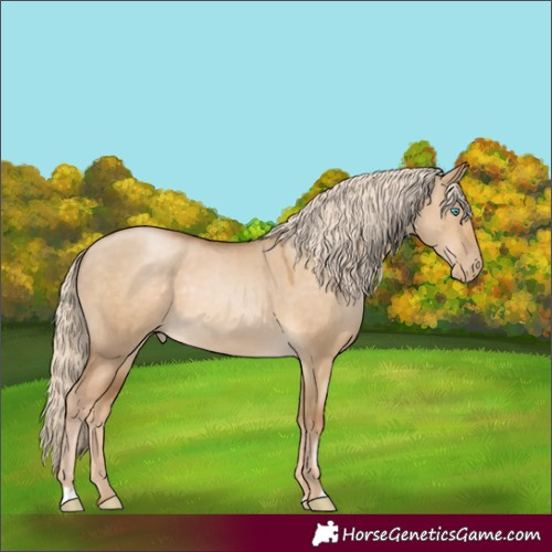 Horse Color:Chocolate Palomino Pearl Dun Rabicano
