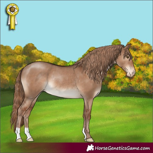 Horse Color:Liver Red Dun Varnish Rabicano 