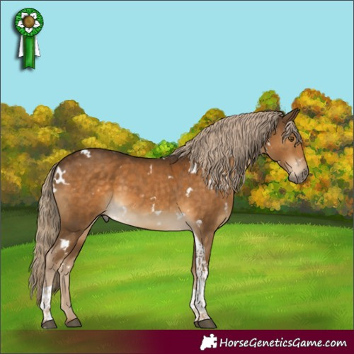Horse Color:White Spotted Chocolate Palomino Tobiano Rabicano 