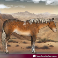Horse Color:Powder White Pseudo Chocolate Palomino Blanket 