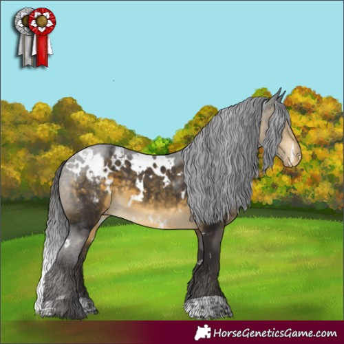 Horse Color:White Spotted Buckskin Appaloosa