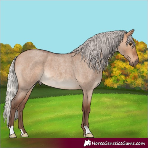 Horse Color:Silver Bay Roan Dun 