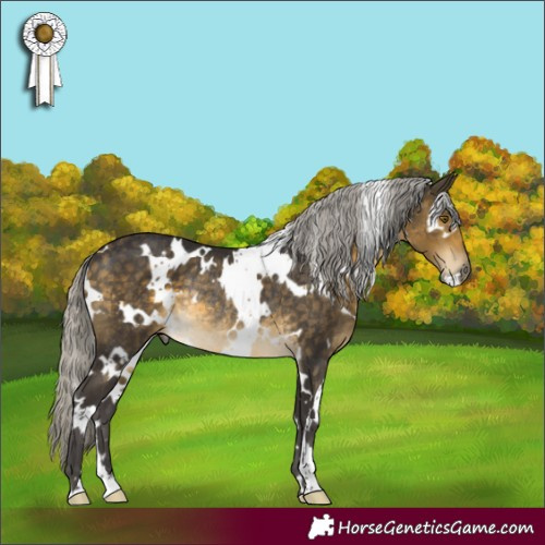 Horse Color:White Spotted Silver Buckskin Rabicano