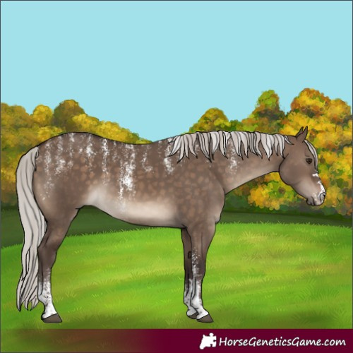 Horse Color:Powder White Silver Brown Dun