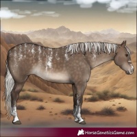Horse Color:Powder White Silver Brown Dun