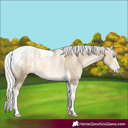 Horse Color:Powder White Silver Smoky Black Tobiano