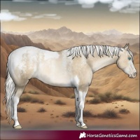 Horse Color:Powder White Silver Smoky Black Tobiano 