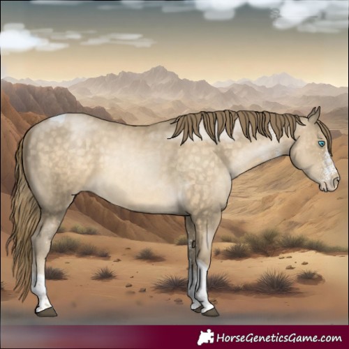 Horse Color:White Spotted Buckskin Tobiano