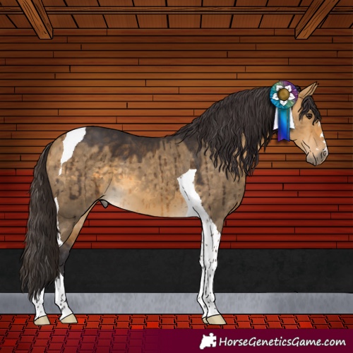 Horse Color:Buckskin Dun Tobiano Brindle 