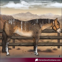 Horse Color:Powder White Buckskin