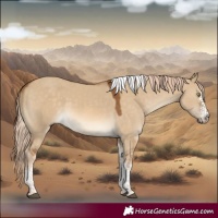 Horse Color:White Spotted Chocolate Palomino Dun Tobiano 