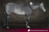 Horse Color:Brown Chinchilla Tobiano