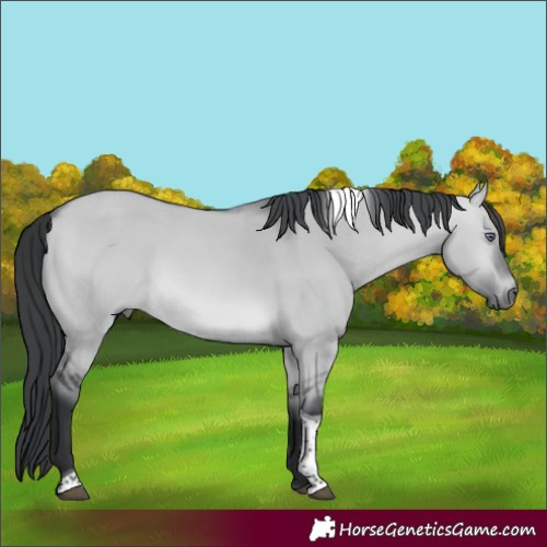 Horse Color:Brown Chinchilla Dun Tobiano