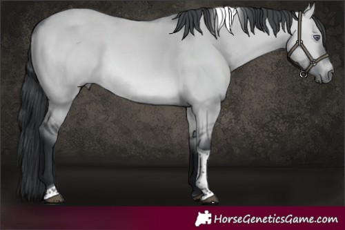Horse Color:Brown Chinchilla Dun Tobiano 