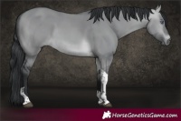 Horse Color:Brown Chinchilla Dun Tobiano 