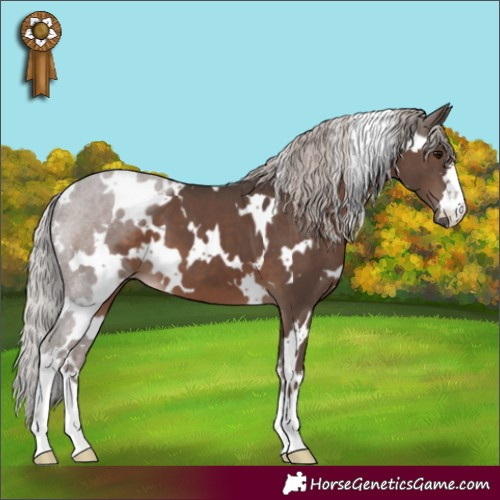 Horse Color:White Spotted Silver Black 