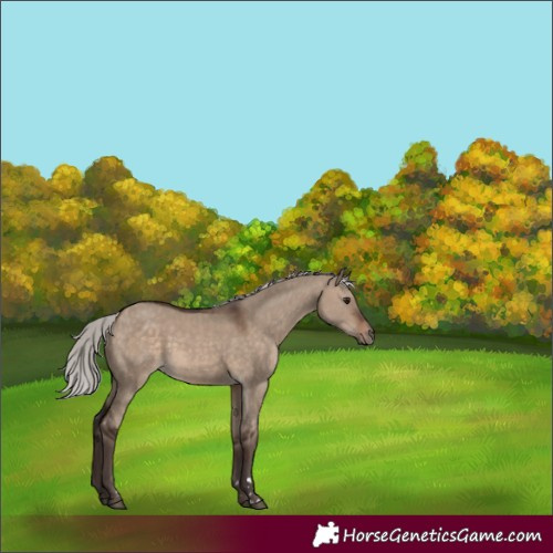 Horse Color:Silver Brown Dun 