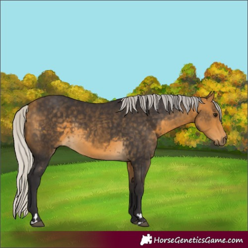 Horse Color:Silver Buckskin
