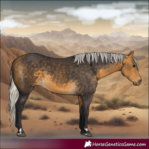 Horse Color:Silver Buckskin 