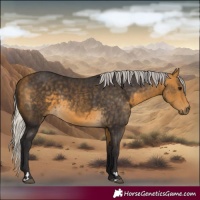 Horse Color:Silver Buckskin 