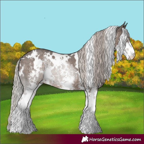 Horse Color:White Spotted Silver Black Sabino 