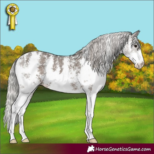 Horse Color:Silver Black Sabino