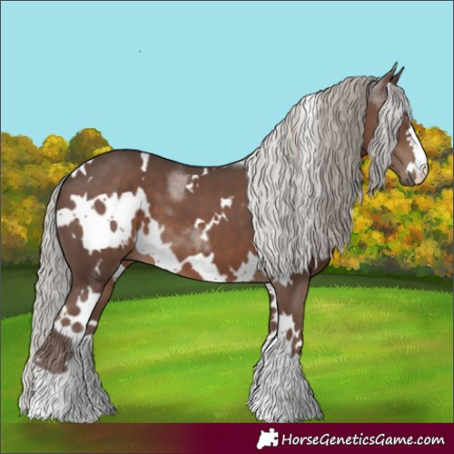 Horse Color:White Spotted Silver Black