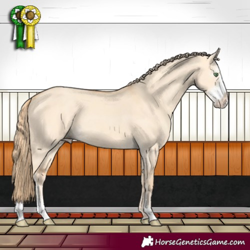 Horse Color:Gold Champagne Dun Sabino