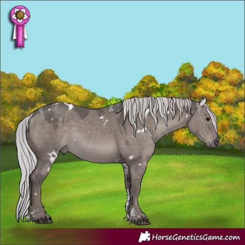 Horse Color:Powder White Platinum White Spotted Silver Grullo 