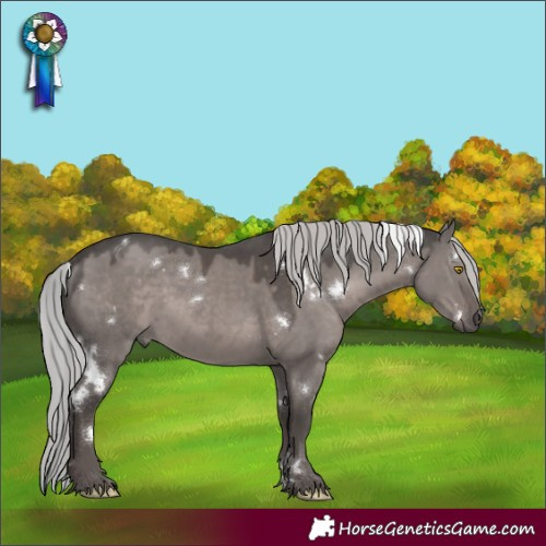Horse Color:Platinum White Spotted Silver Grullo Rabicano 