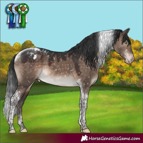 Horse Color:Brown Dun Mushroom Tobiano Appaloosa