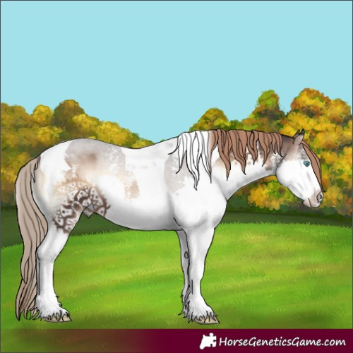 Horse Color:Liver Red Onyx Sabino Splash Tobiano 