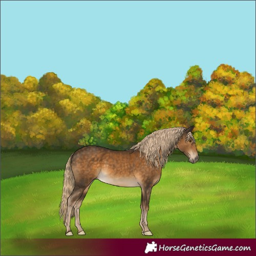 Horse Color:Chocolate Palomino Rabicano