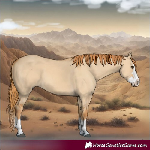 Horse Color:Red Dun Splash