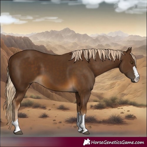Horse Color:Chocolate Palomino 