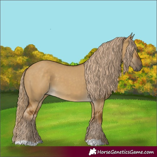 Horse Color:Chocolate Palomino Dun 