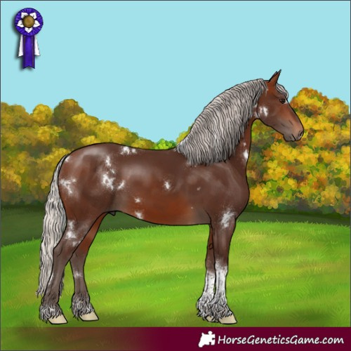 Horse Color:White Spotted Silver Brown Tobiano