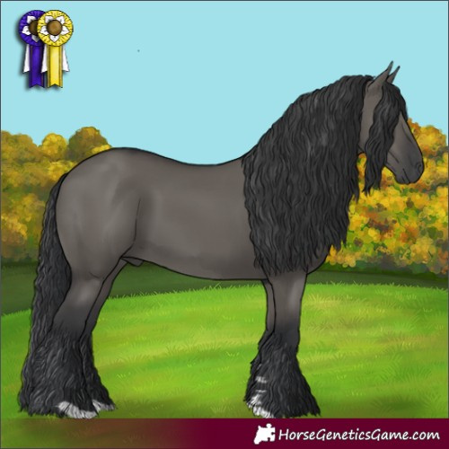 Horse Color:Grullo