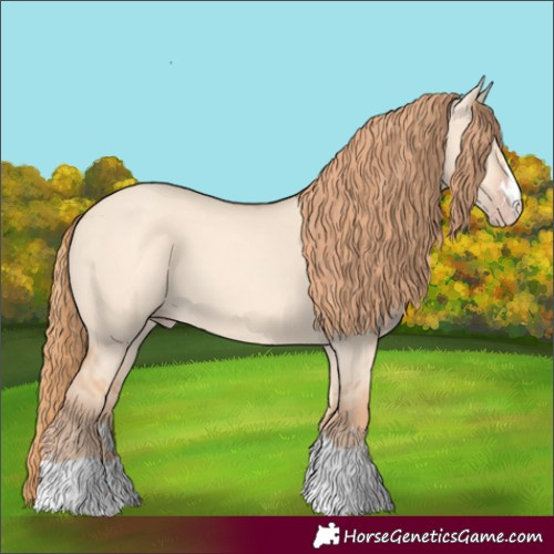 Horse Color:Gold Champagne Dun
