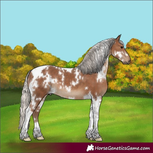 Horse Color:White Spotted Silver Black Tobiano