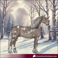 Horse Color:White Spotted Silver Black Tobiano 