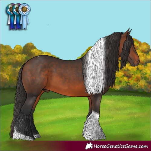 Horse Color:Brown Tobiano