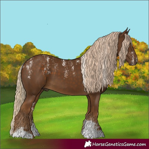 Horse Color:Powder White Chocolate Palomino 