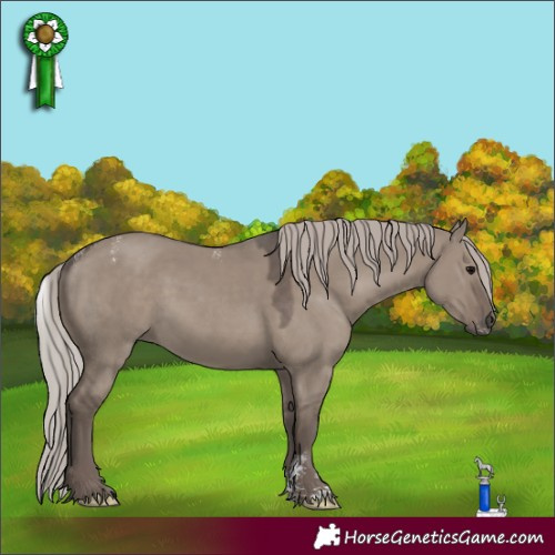 Horse Color:Powder White Silver Grullo Rabicano