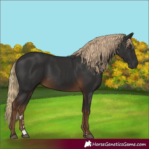 Horse Color:Gray Chocolate Palomino