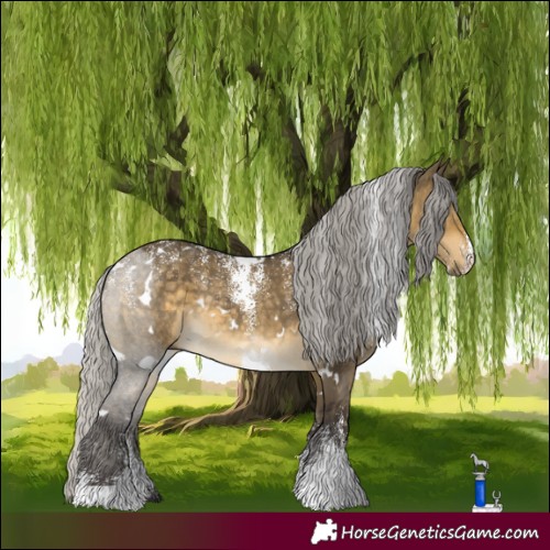 Horse Color:Powder White White Spotted Silver Buckskin Dun Rabicano 
