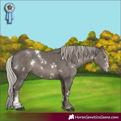 Horse Color:White Spotted Silver Black Sabino Rabicano