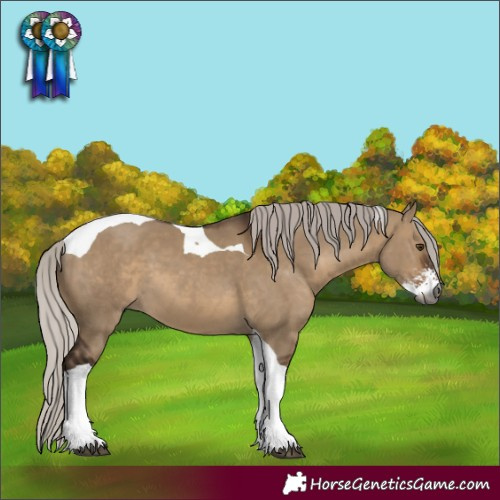 Horse Color:Gray Silver Bay Dun Sabino Tobiano