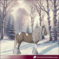 Horse Color:Silver Smoky Black Tobiano